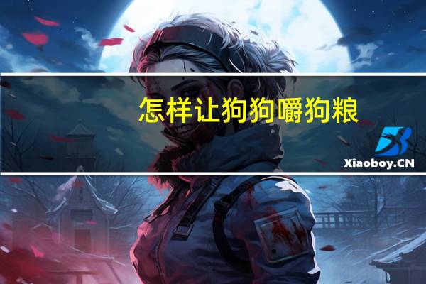 怎样让狗狗嚼狗粮
