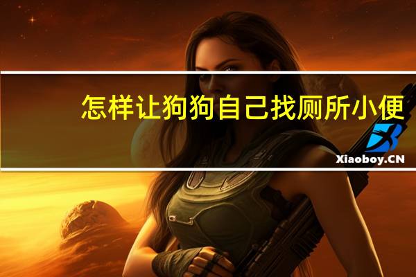 怎样让狗狗自己找厕所小便
