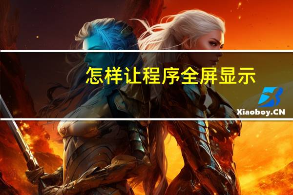 怎样让程序全屏显示