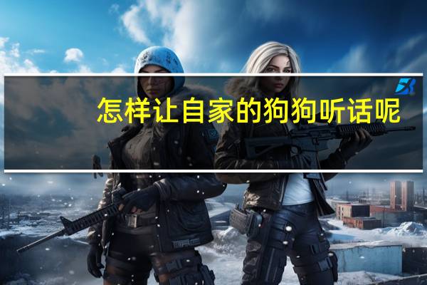 怎样让自家的狗狗听话呢