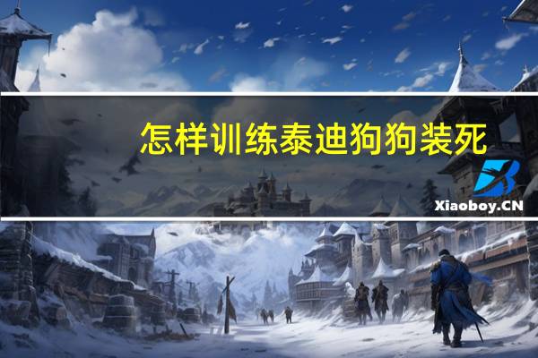 怎样训练泰迪狗狗装死