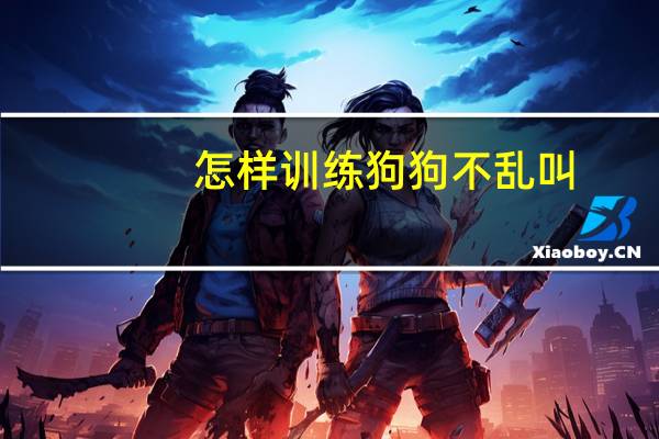 怎样训练狗狗不乱叫