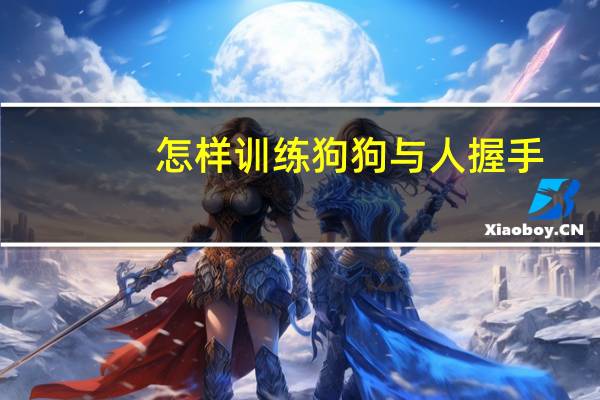怎样训练狗狗与人握手