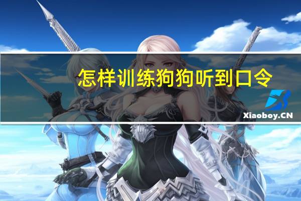 怎样训练狗狗听到口令