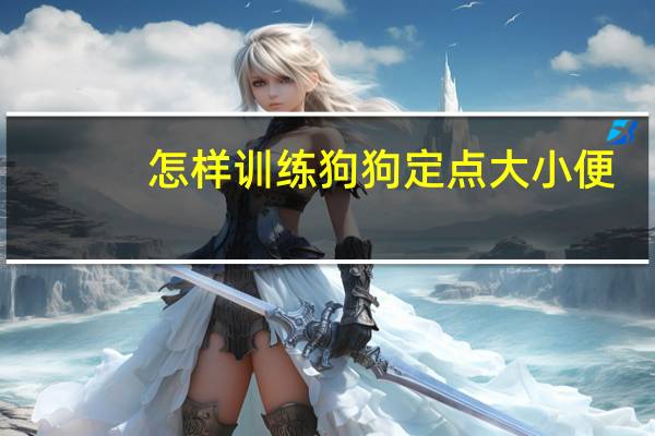 怎样训练狗狗定点大小便
