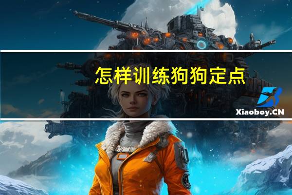 怎样训练狗狗定点