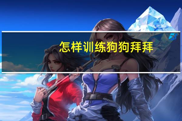 怎样训练狗狗拜拜