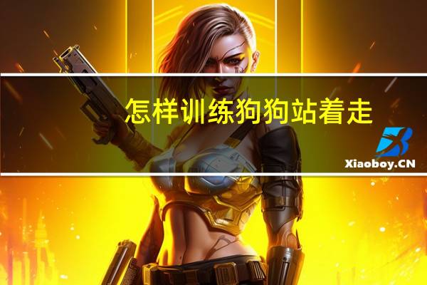 怎样训练狗狗站着走