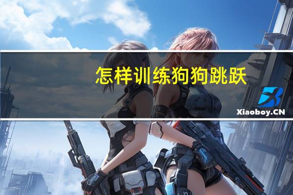 怎样训练狗狗跳跃