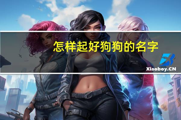 怎样起好狗狗的名字