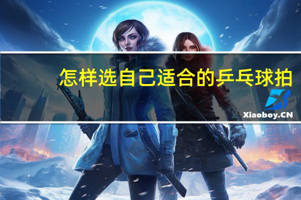 怎样选自己适合的乒乓球拍