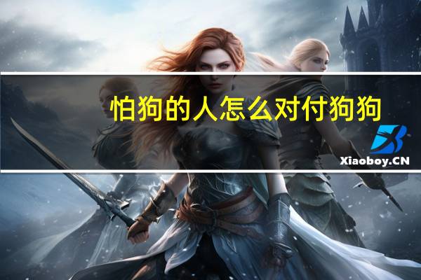 怕狗的人怎么对付狗狗