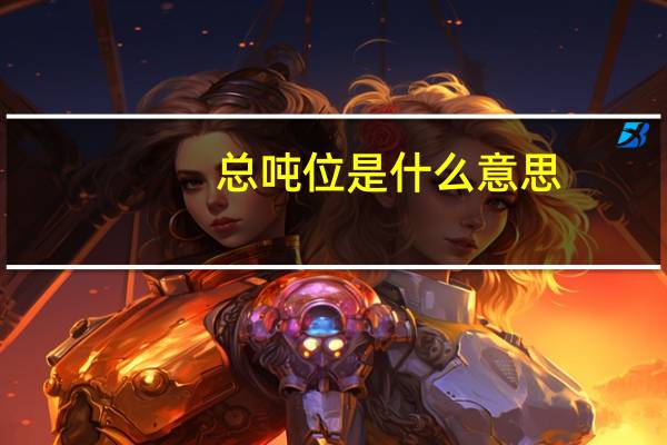 总吨位是什么意思