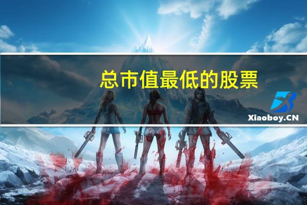 总市值最低的股票