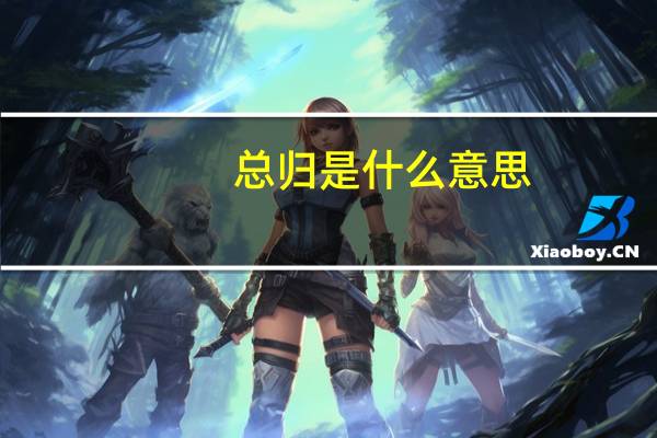 总归是什么意思
