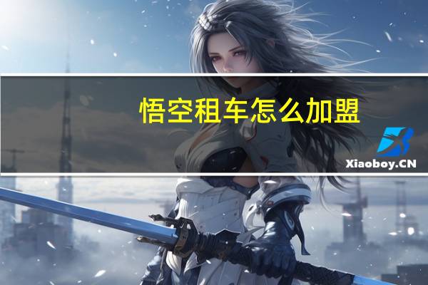 悟空租车怎么加盟