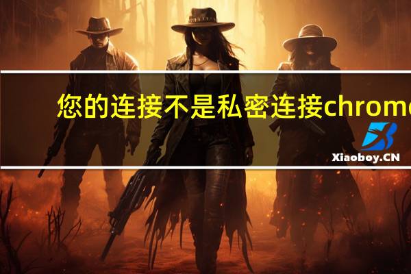 您的连接不是私密连接chrome