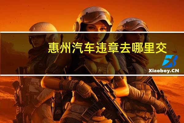 惠州汽车违章去哪里交
