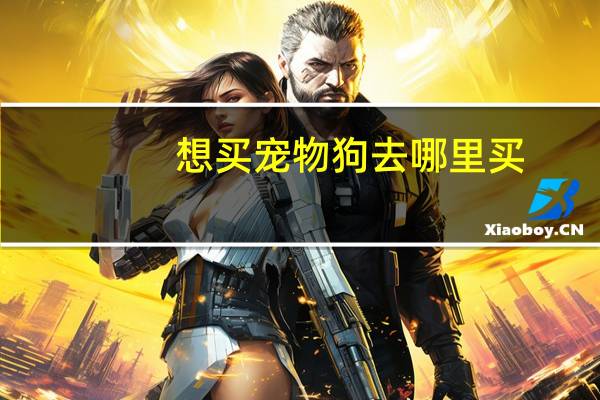 想买宠物狗去哪里买