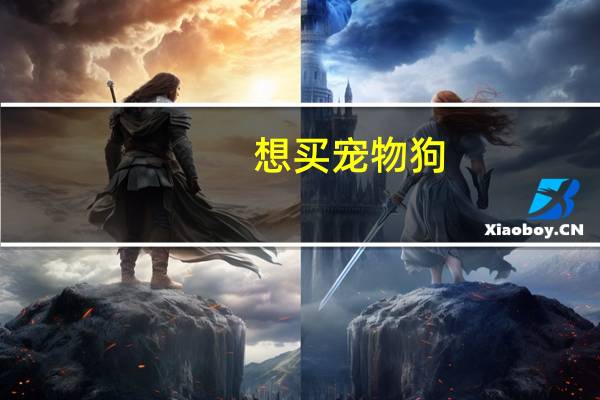 想买宠物狗
