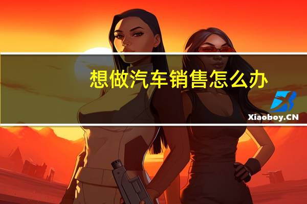 想做汽车销售怎么办