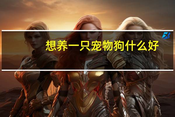 想养一只宠物狗什么好