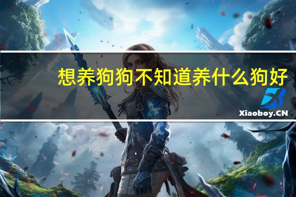 想养狗狗不知道养什么狗好