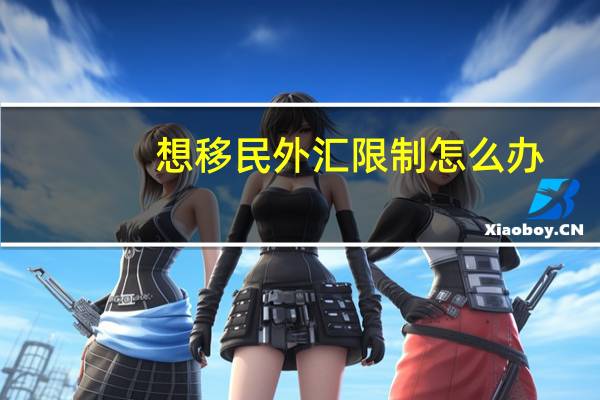 想移民外汇限制怎么办