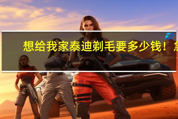 想给我家泰迪剃毛要多少钱！急