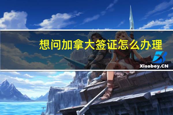 想问加拿大签证怎么办理