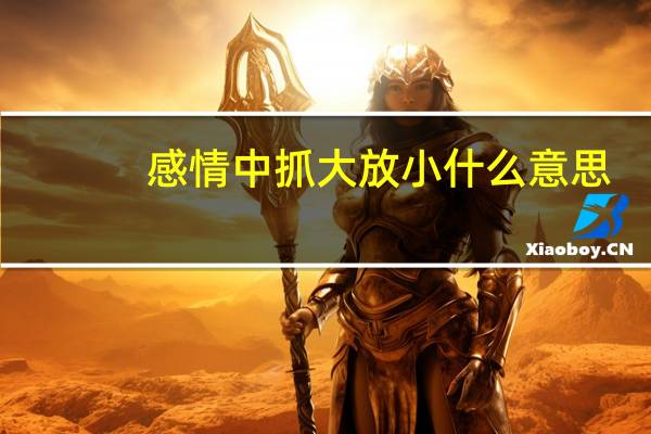感情中抓大放小什么意思