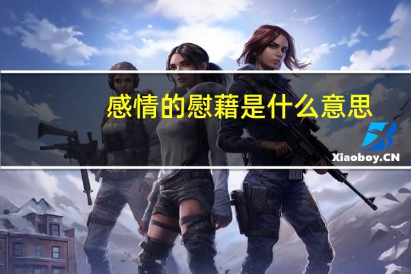 感情的慰藉是什么意思