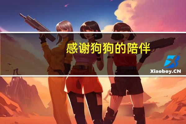 感谢狗狗的陪伴