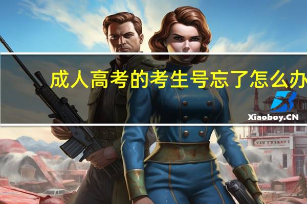 成人高考的考生号忘了怎么办