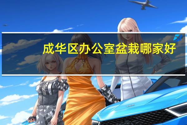 成华区办公室盆栽哪家好