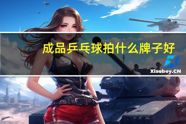 成品乒乓球拍什么牌子好
