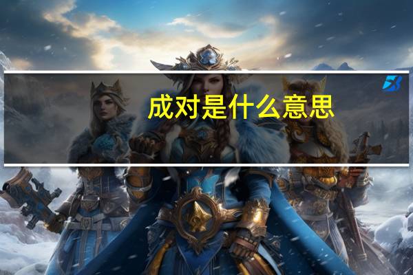 成对是什么意思