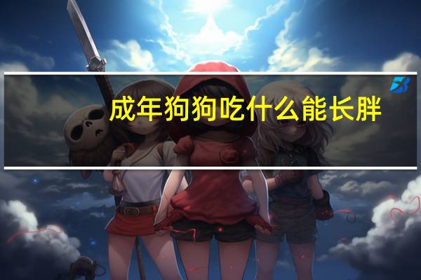 成年狗狗吃什么能长胖