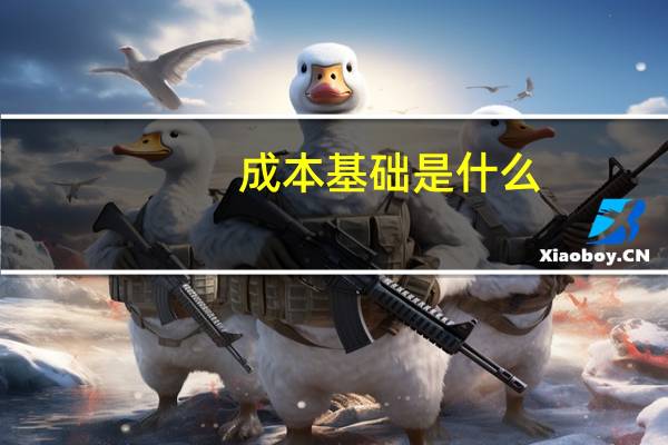 成本基础是什么