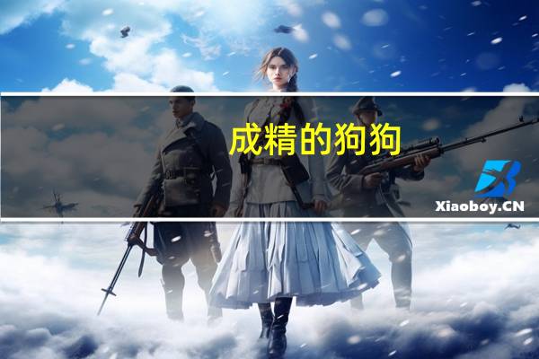 成精的狗狗