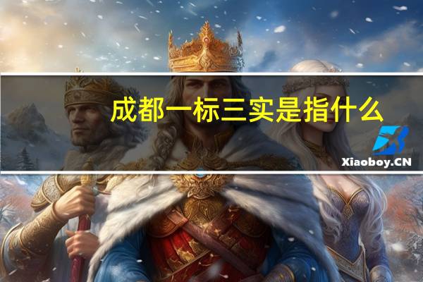 成都一标三实是指什么