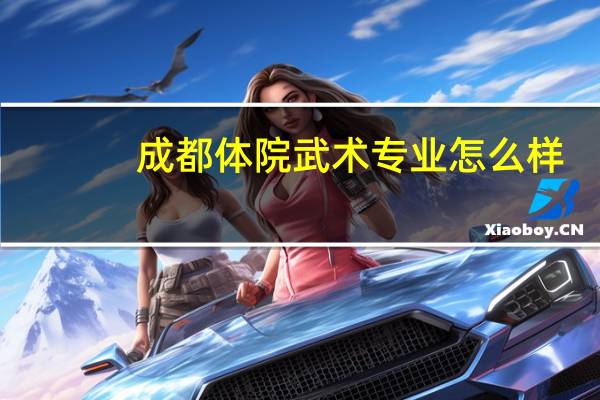 成都体院武术专业怎么样