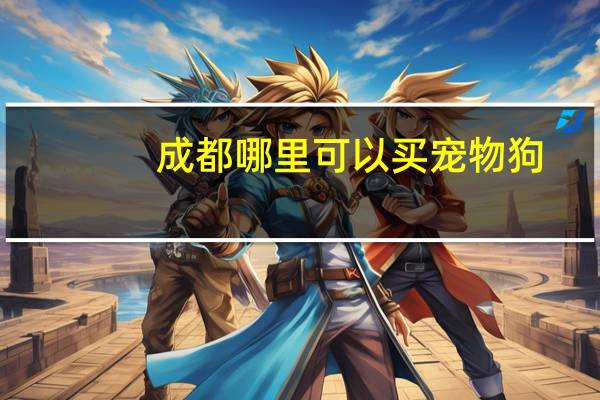 成都哪里可以买宠物狗