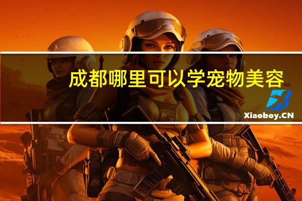 成都哪里可以学宠物美容