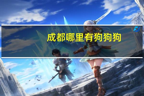 成都哪里有狗狗狗