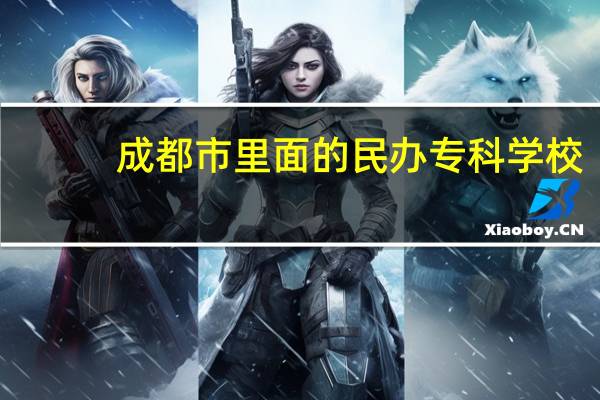 成都市里面的民办专科学校