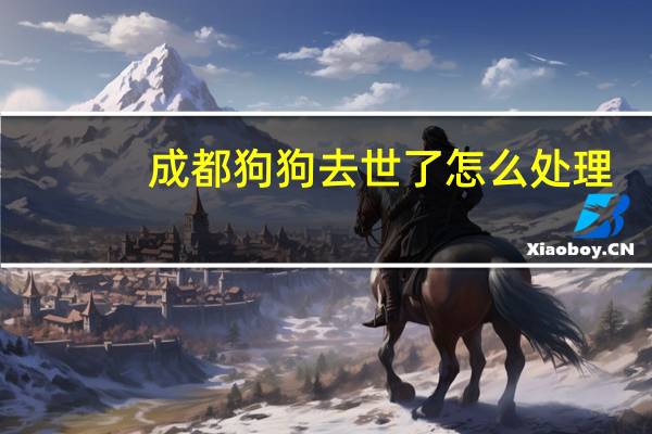 成都狗狗去世了怎么处理