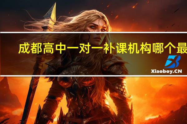 成都高中一对一补课机构哪个最好