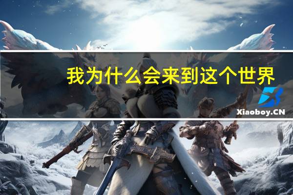 我为什么会来到这个世界