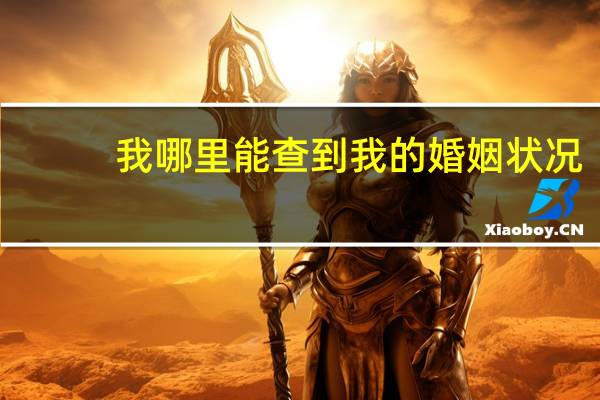 我哪里能查到我的婚姻状况